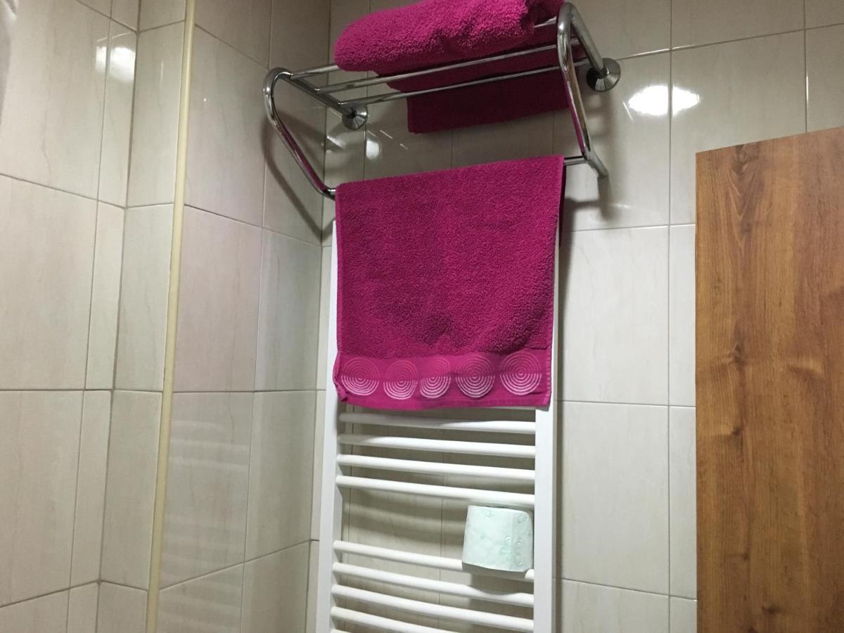 Danubian Otel Vidin Dış mekan fotoğraf