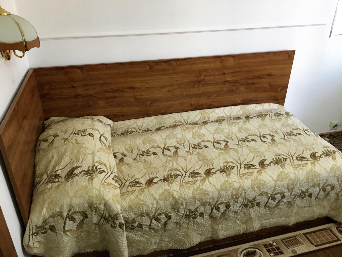 Danubian Otel Vidin Dış mekan fotoğraf
